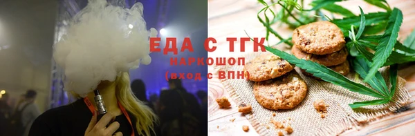 индика Алзамай