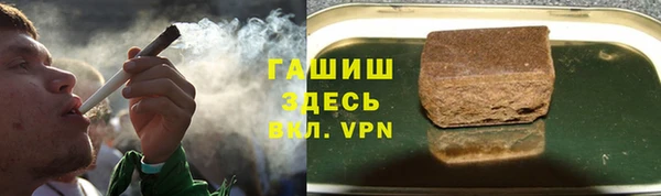 индика Алзамай