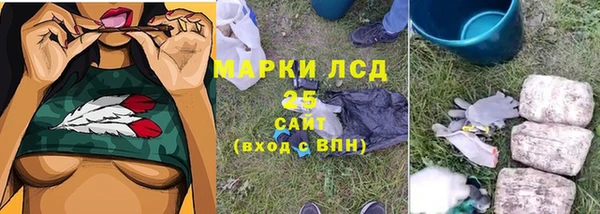 индика Алзамай