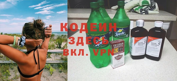 индика Алзамай
