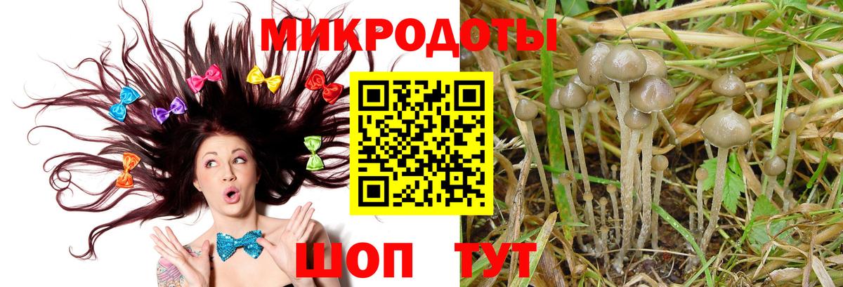 Псилоцибиновые грибы мицелий Алексин